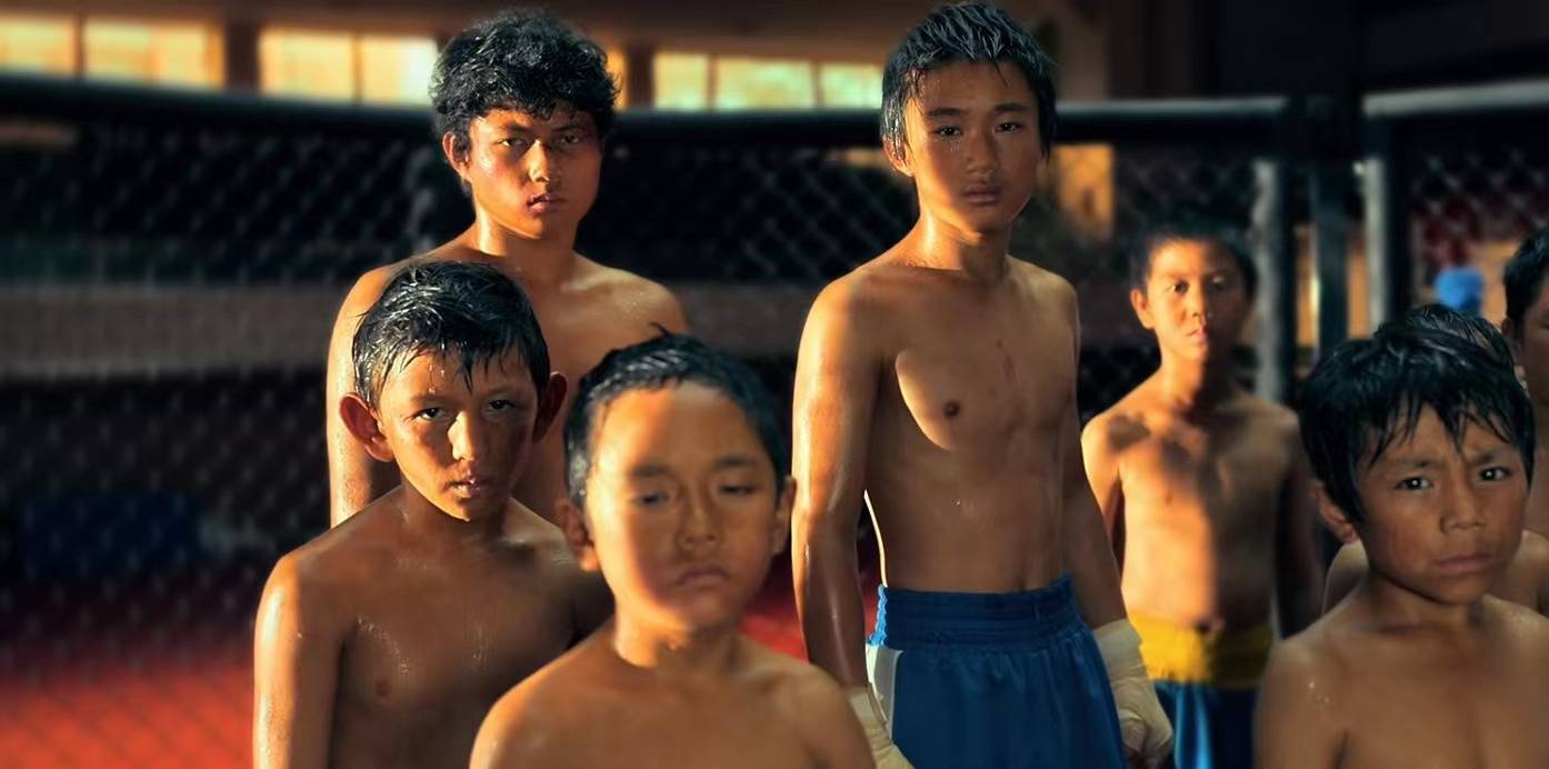 原创            成功绝非个人的努力，偷税明星屡禁不止，看《八角笼中》更懂珍惜
