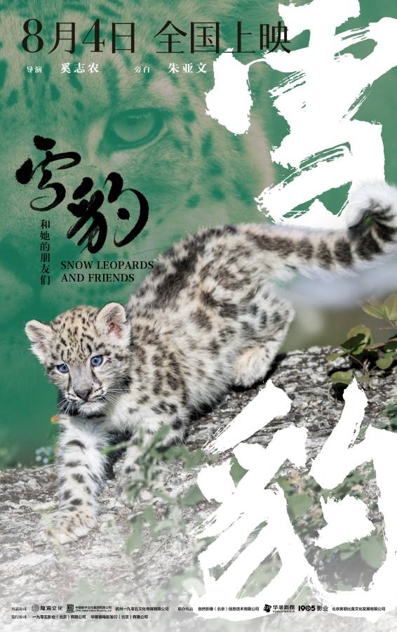 《雪豹和她的朋友们》点映 动物天团野性灵动令观众情感震撼