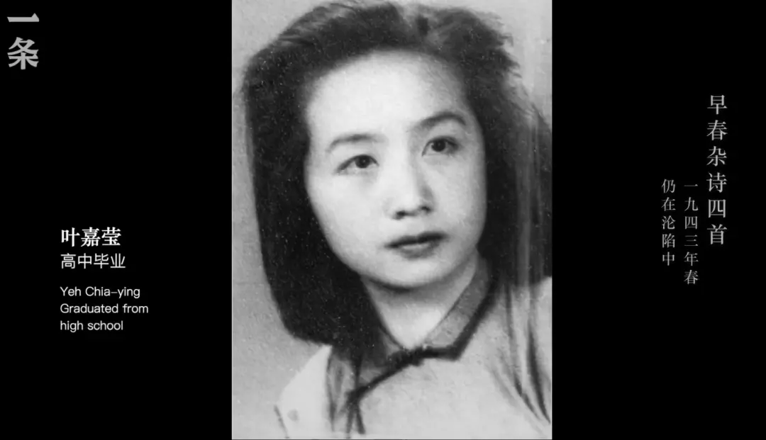 北京名媛17岁家破人亡，28岁被家暴，从寄人篱下到捐款3000多万，她做了什么？