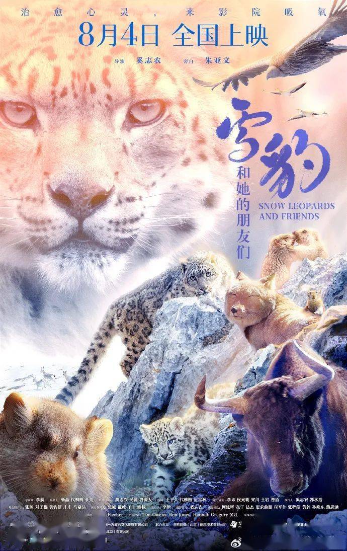 111位明星应援！这部罕见的电影该在暑期档「封神」