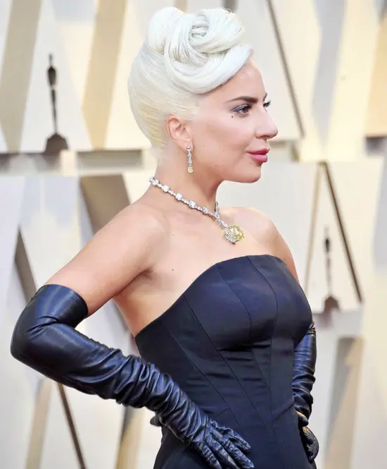 LadyGaga被任命为总统艺术与人文委员会联合主席