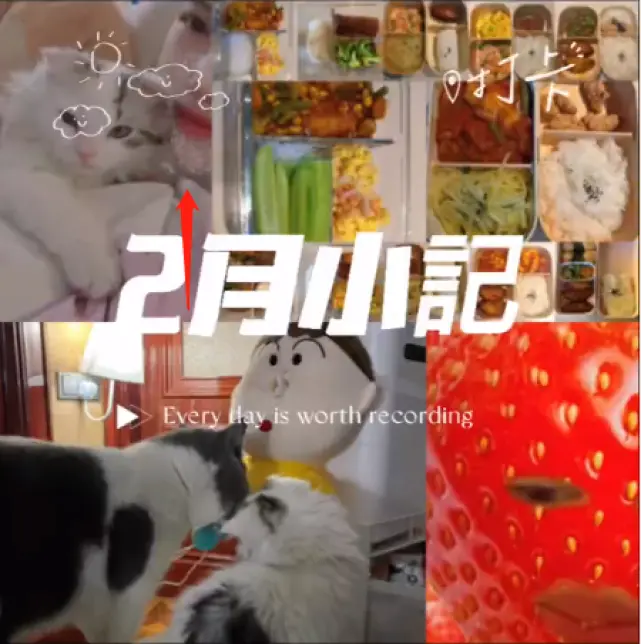 马蓉罕见分享生活花絮，为儿女做便当力证好妈妈，熬夜工作超努力