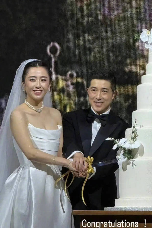 汤镇业长女婚礼大咖云集 刘嘉玲向华强到场祝福