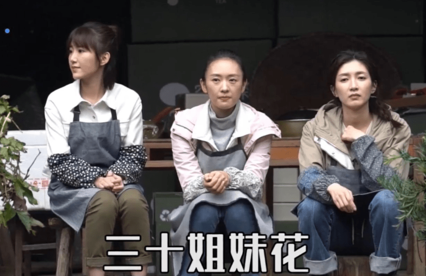 原创            顾佳转行当保姆、王漫妮钟晓芹隐身，《三十而已2》官宣就惹争议