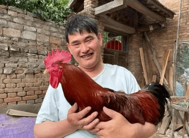 原创            大衣哥朱之文否认点评刀郎《罗刹海市》，称：一定要揪出造谣的人