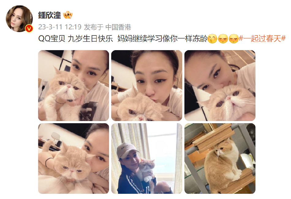 钟欣潼抱猫自拍 为其庆生还想学习像其一样冻龄