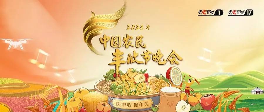 原创            央视丰晚主持阵容曝光，任鲁豫孟语凡3度搭档站C位，尹颂回归，不见李七月