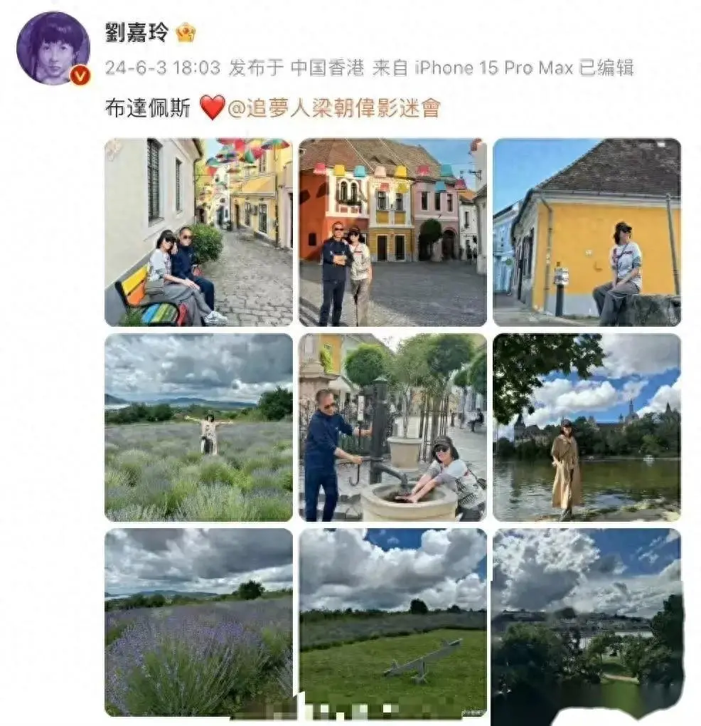 闹大了！刘嘉玲发文引风波？简短字句为何引发热议无数？