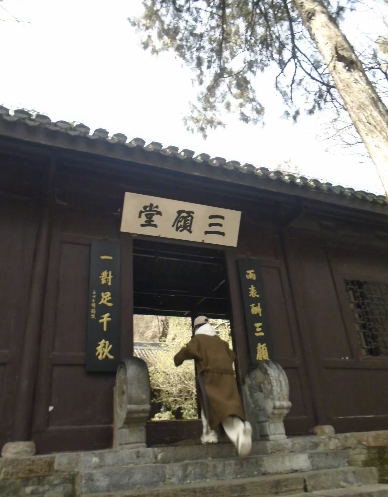 杨紫晒春游照 素颜出镜放松随性