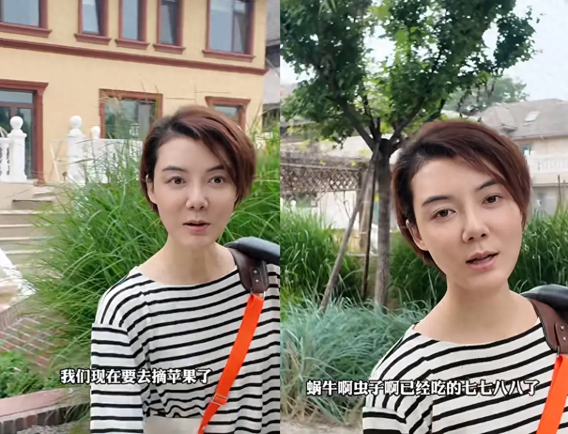 42岁车晓晒独居生活，住别墅在小院爬梯摘苹果，离婚12年不觉孤单
