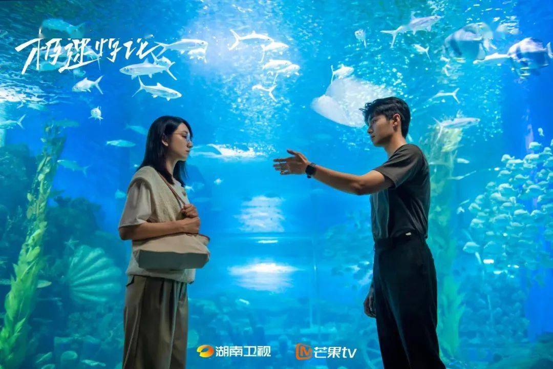 快讯！《极速悖论》《无所畏惧》等新剧定档