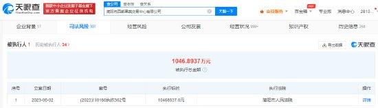 周震南父亲及其公司再成被执行人 执行标的1046万