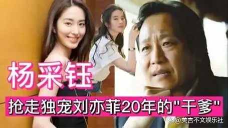 “铁打的金飞，流水的妹妹”！这下，全国都知道杨采钰没了靠山了