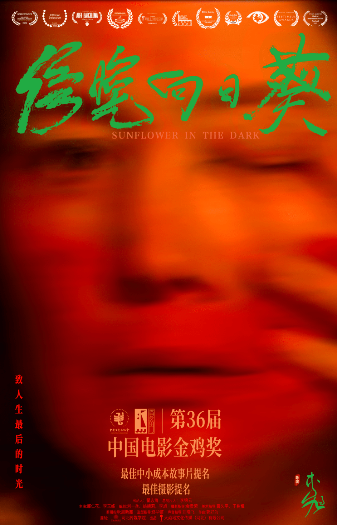 电影《傍晚向日葵》获金鸡奖两项提名，年内全国上映