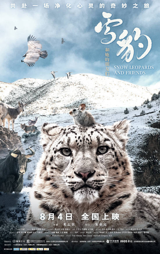 纪录电影《雪豹和她的朋友们》开启超前点映 朱亚文献声旁白8月4日上映