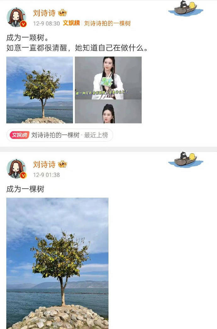 刘诗诗发文为新剧角色发声：如意一直都很清醒